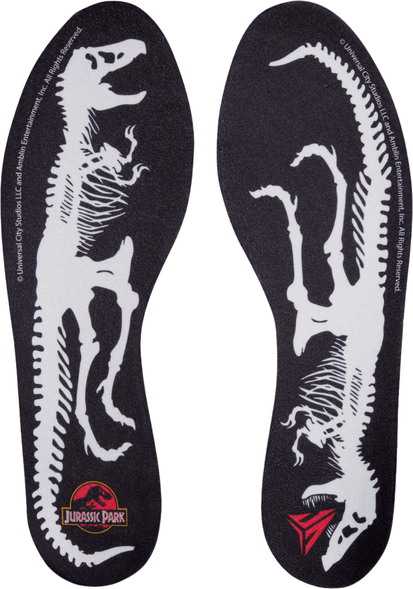 Nike JA 3 Jurassic Park Raptor Black C001