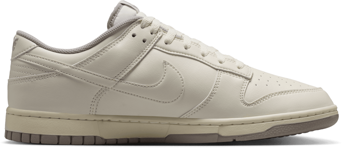 Nike Dunk Low Retro Grey