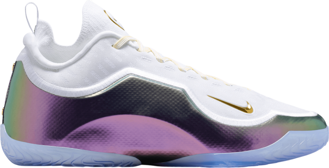 Nike Lebron XXIII Elite For The Record White C100
