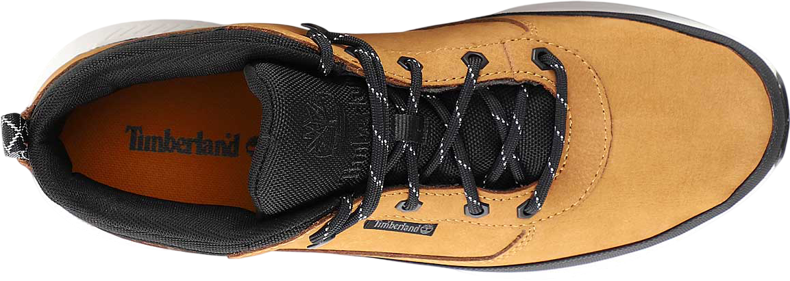 Timberland Field Trekker Low Brown