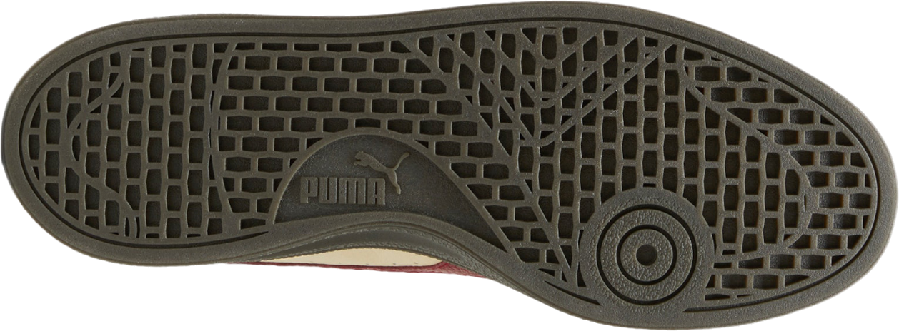 PUMA Indoor Players Lane Sneaker Brown C01