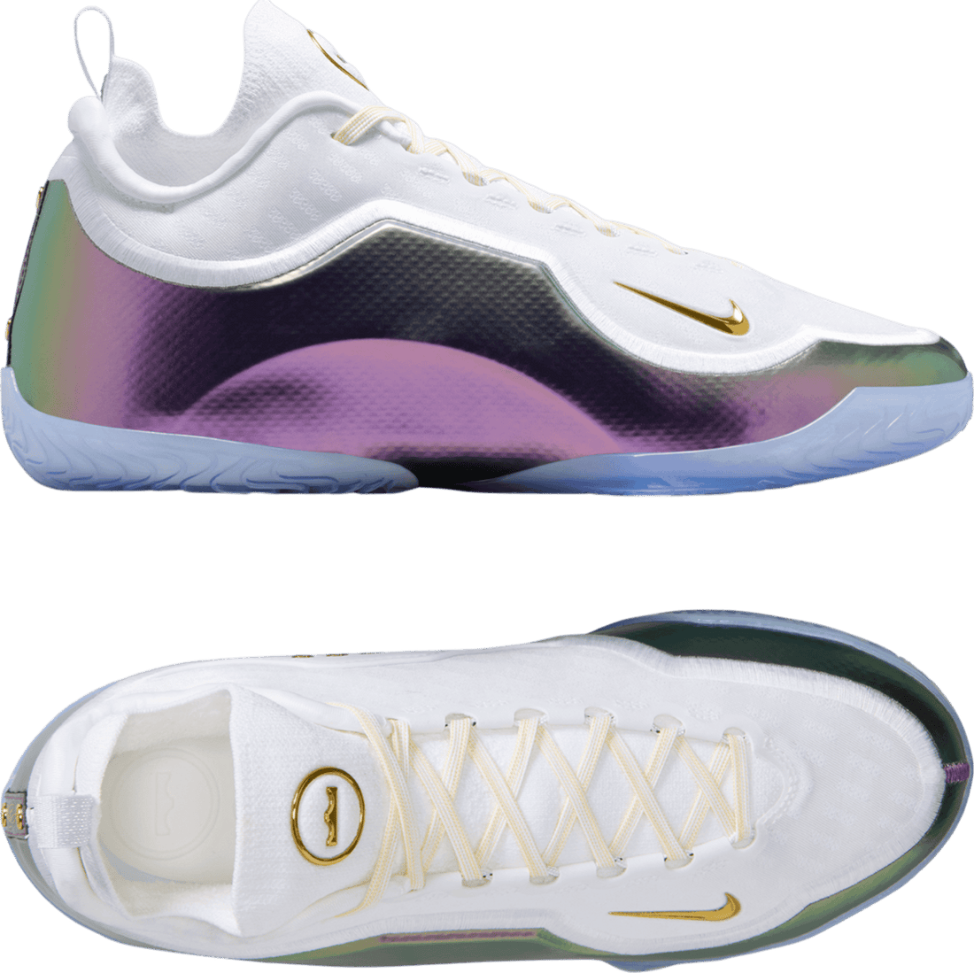 Nike Lebron XXIII Elite For The Record White C100