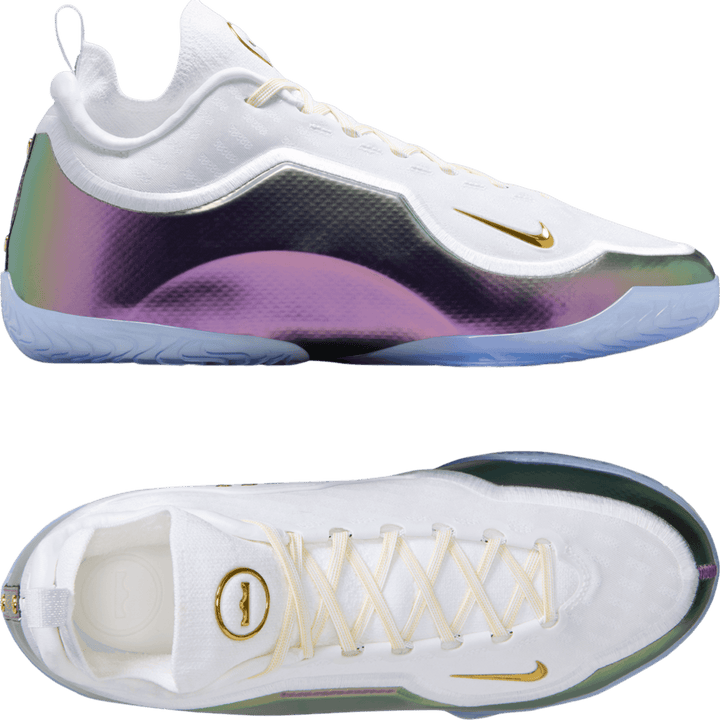 Nike Lebron XXIII Elite For The Record White C100