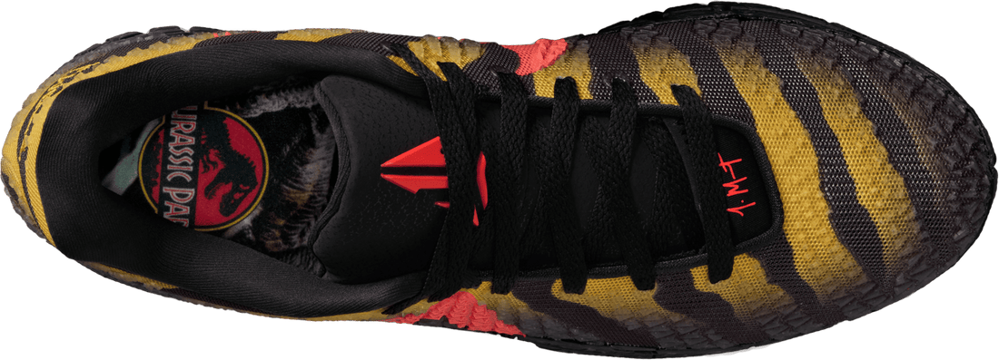 Nike JA 3 Jurassic Park Raptor Black C001