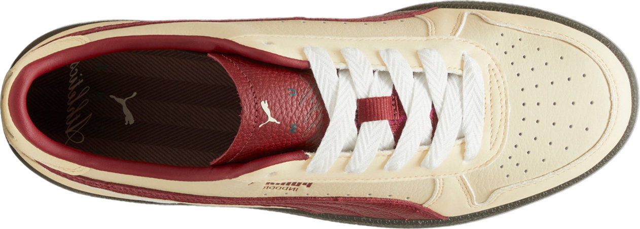 PUMA Indoor Players Lane Sneaker Brown C01